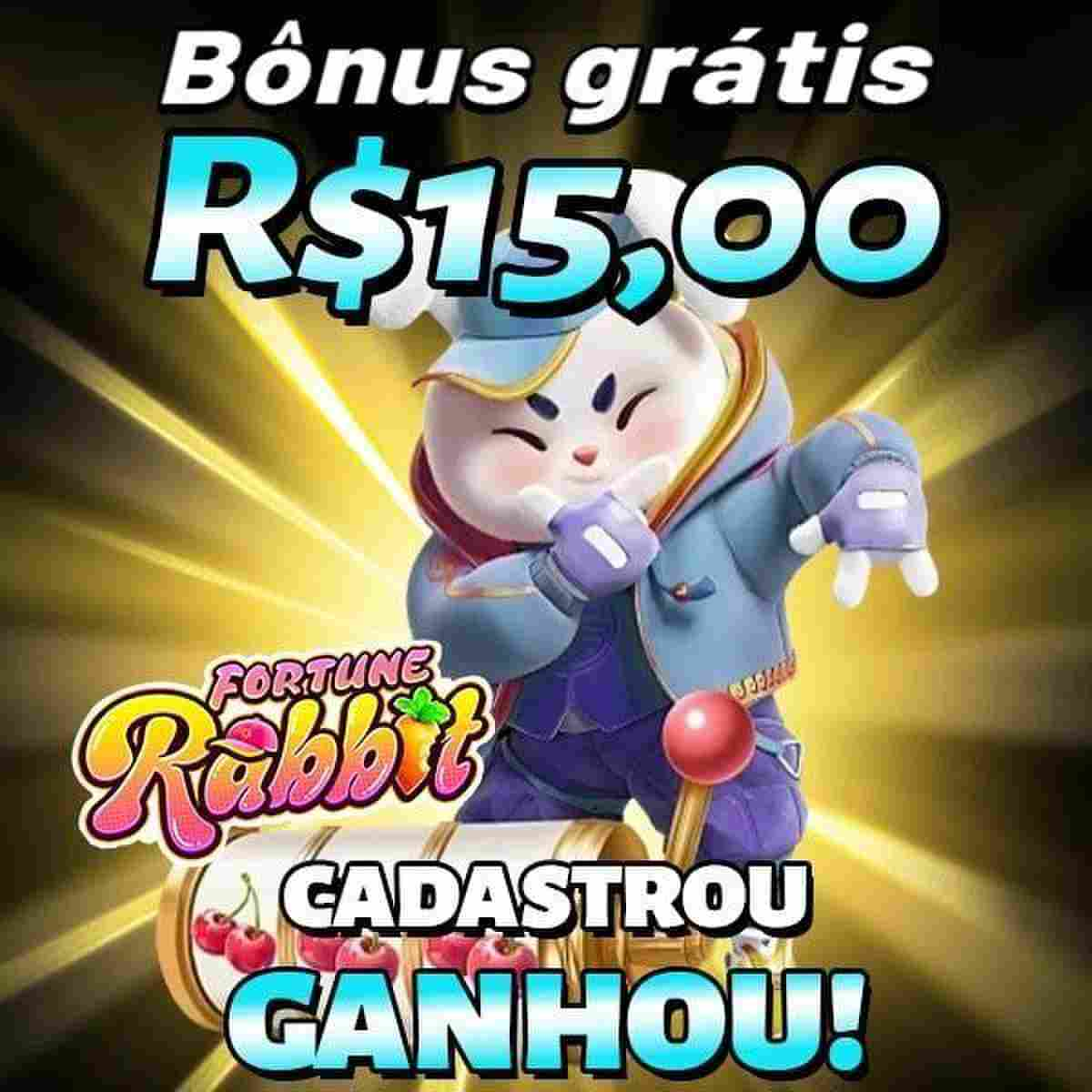 casino 14 - Os 10 melhores cassinos online do Brasil 